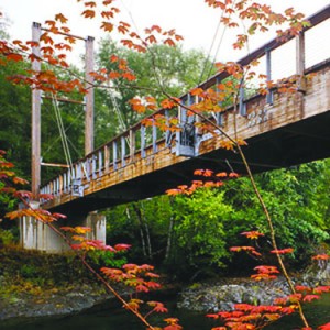 Tillamook Forestry Center