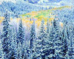 VMP-Art-Burkett-EarlyWinterSnowfallColorado